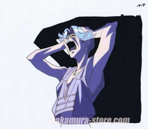 Vision of Tenku Escaflowne celluloid