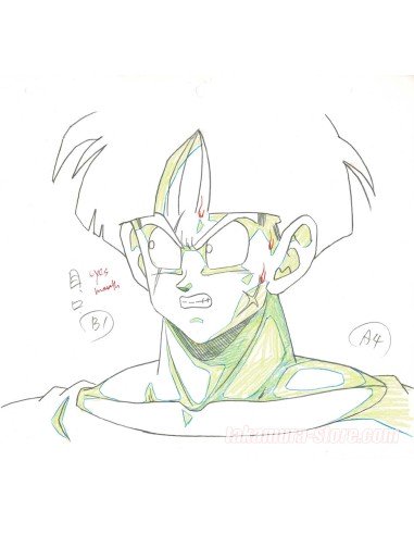 Dragon Ball Z original sketch