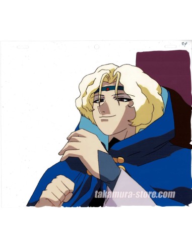 Shin Hakkenden anime cel